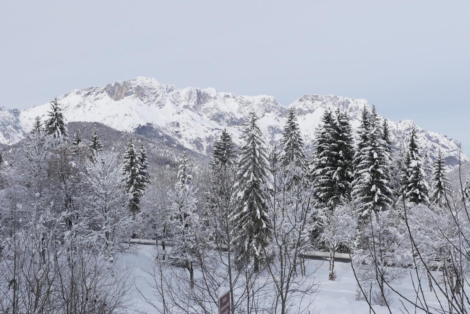 Ferienwohnungen Haus Kunterbunt Berchtesgaden Dış mekan fotoğraf